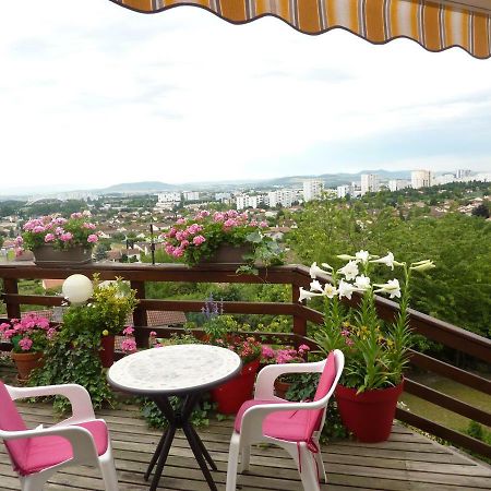 Joli petit Appart sur les Côtes de Cébazat/Clermont Ferrand Esterno foto